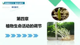 第五章 植物生命活動(dòng)的調(diào)節(jié)（復(fù)習(xí)課件）-2025-2026學(xué)年高中生物選擇性必修1（浙科版2019）