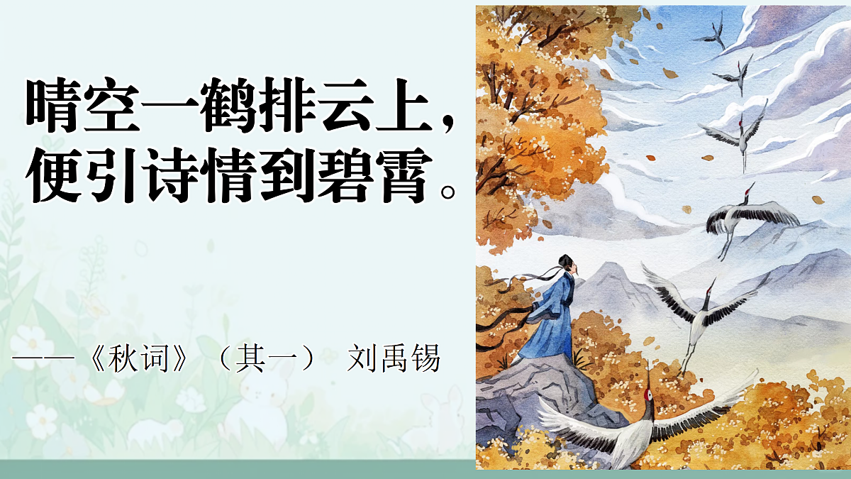 17307931第8页