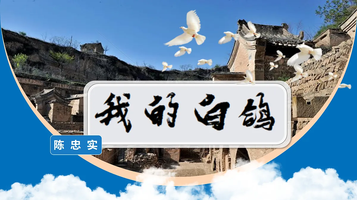 17307974第2页