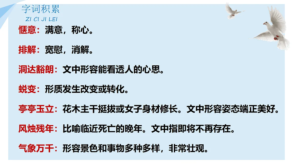 17307974第8页