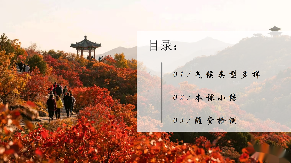 17310358第2页