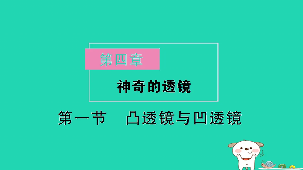 17310646第1页