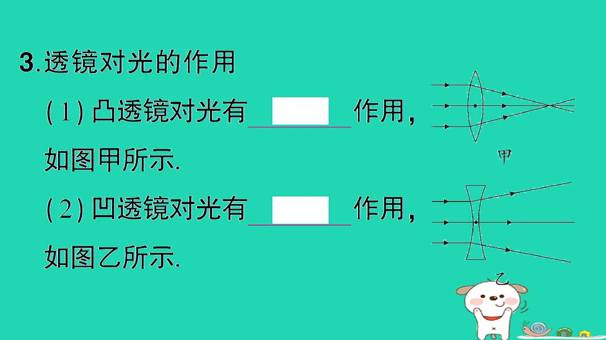 17310646第5页