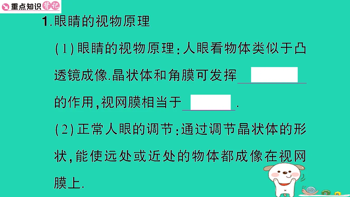 17310648第2页