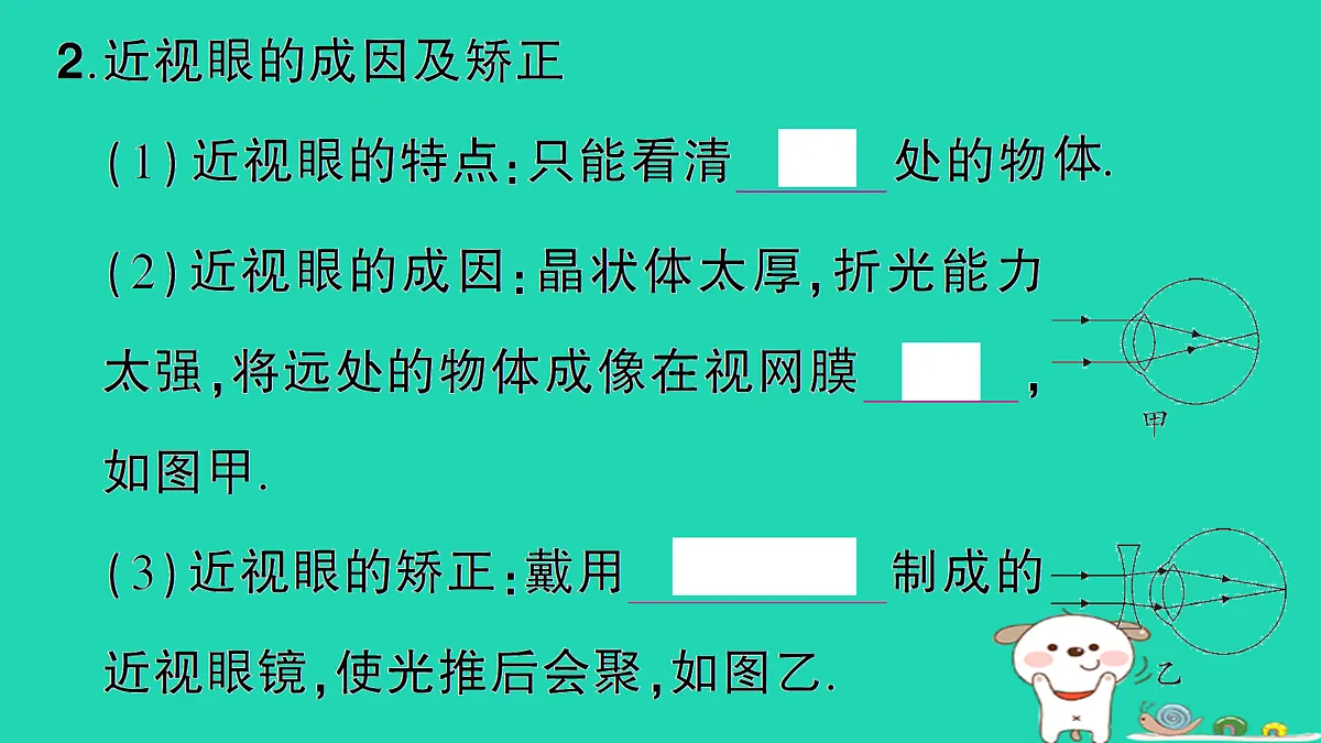 17310648第3页