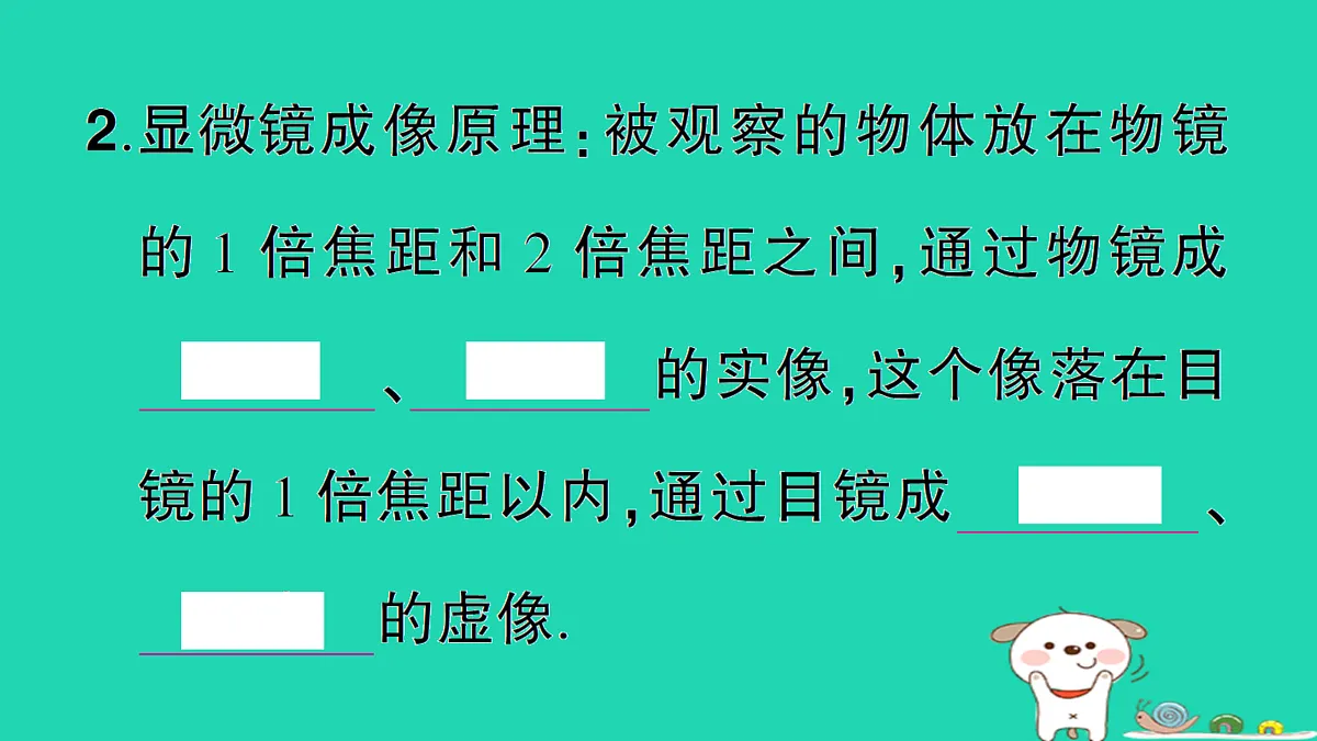 17310649第4页