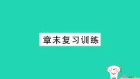 初中物理沪科版(2024)八年级全册(2024)质量复习ppt课件