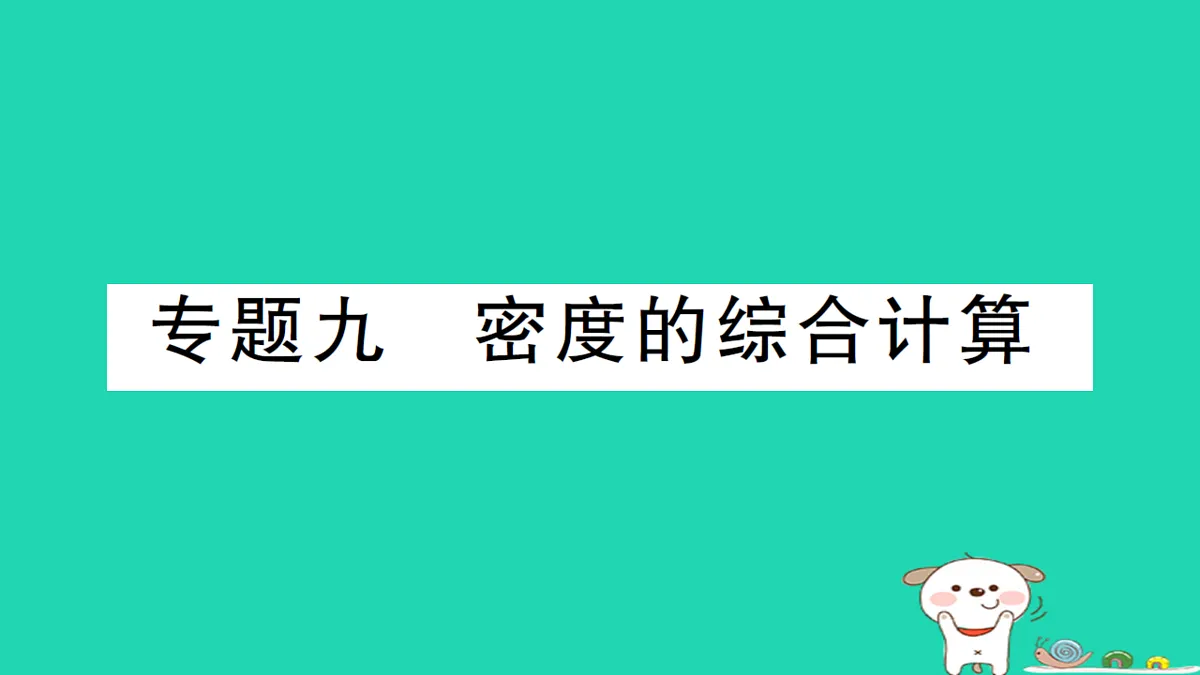 17310655第1页