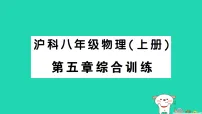 初中沪科版(2024)密度作业课件ppt