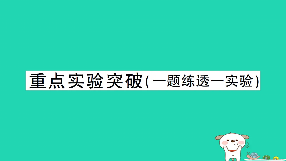 17310661第1页