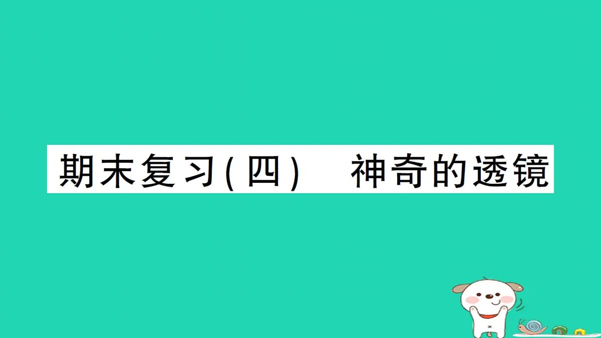 17310668第1页