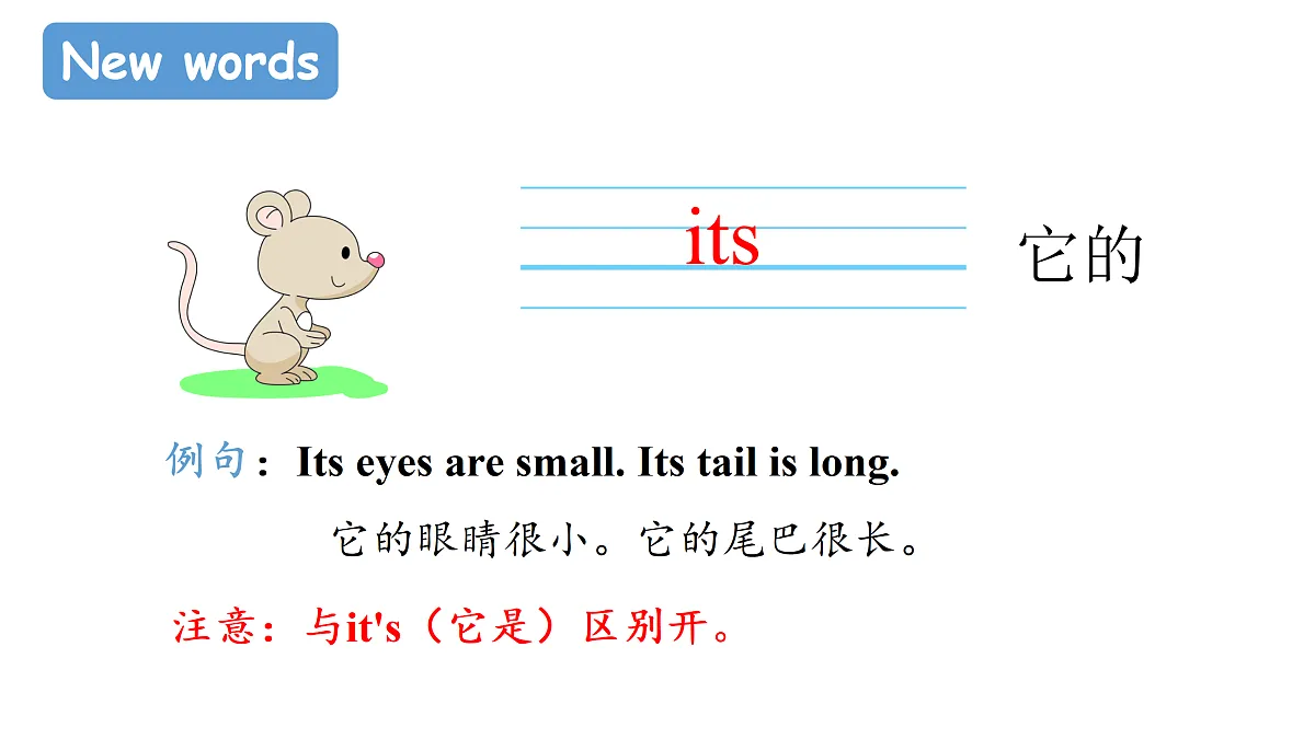 17311443第3页