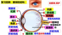 人教版（2024）八年级上册（2024）第一节 人体对外界环境的感知课前预习ppt课件