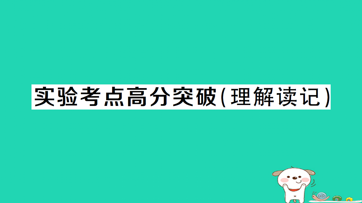 17312610第1页