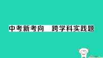 初中人教版(2024)内能作业课件ppt