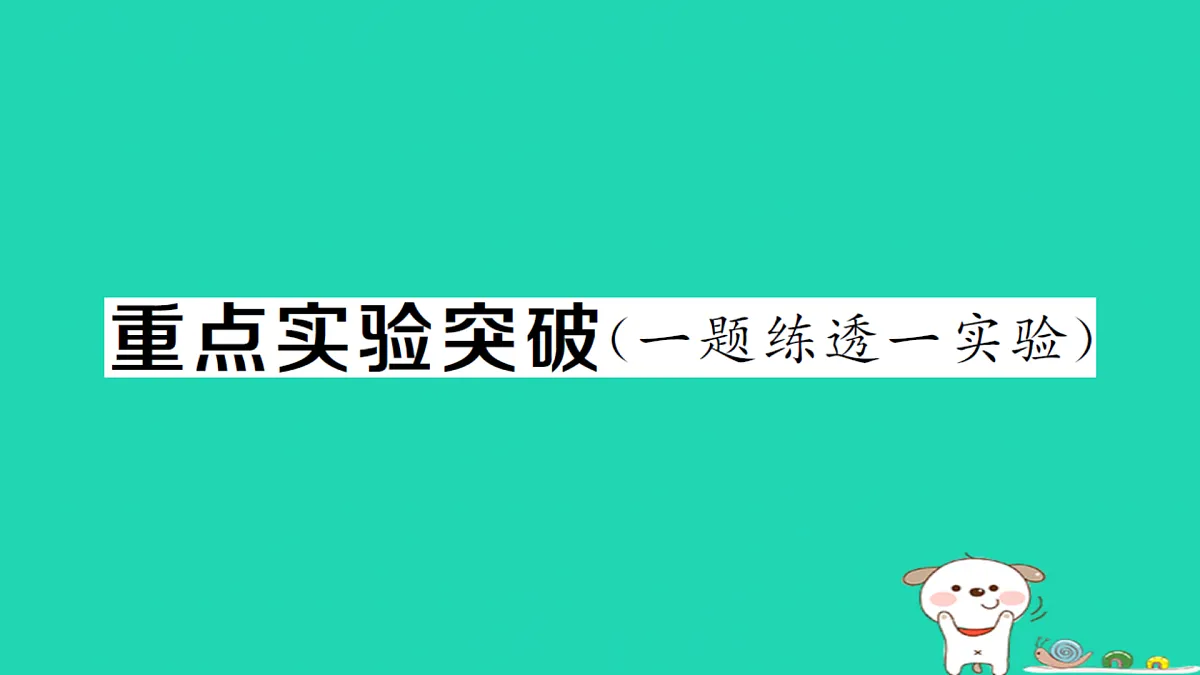 17312615第1页