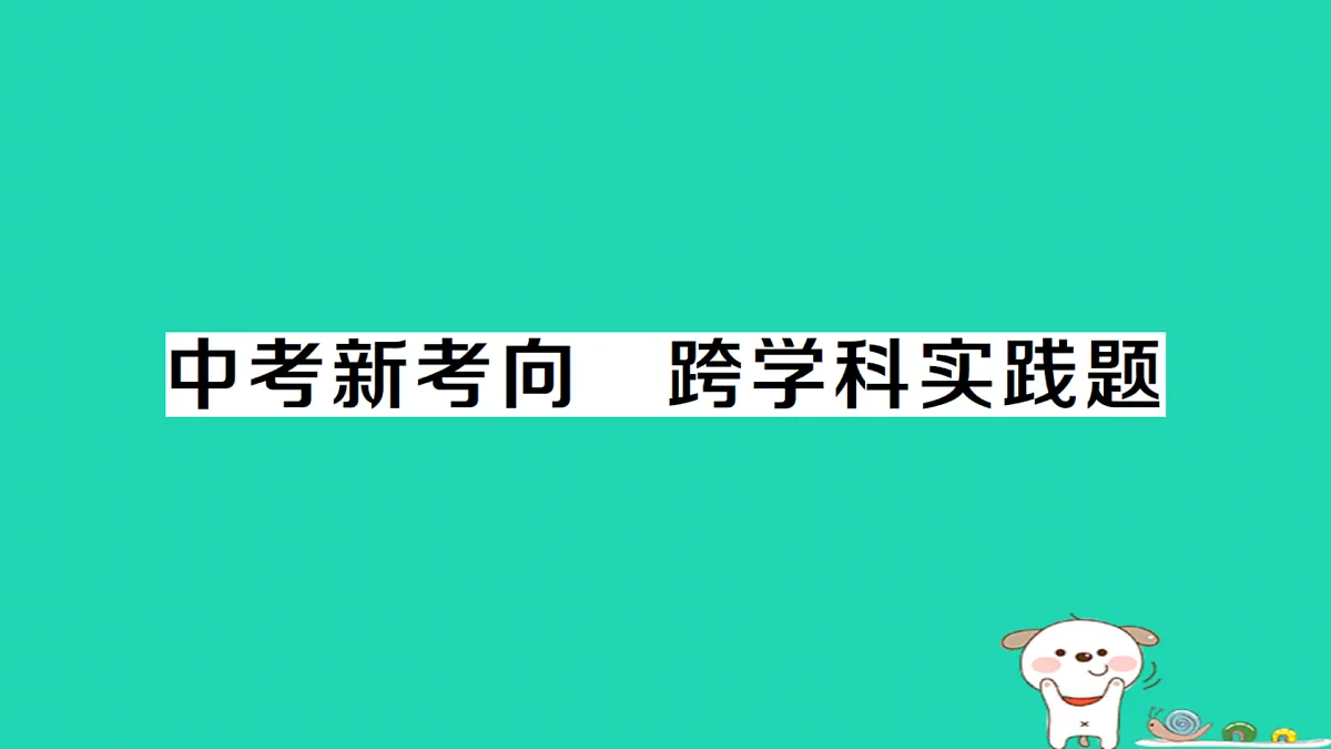 17312617第1页