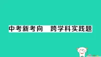 初中人教版（2024）电流和电路作业课件ppt