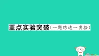 初中物理人教版（2024）九年级全册电流和电路作业课件ppt