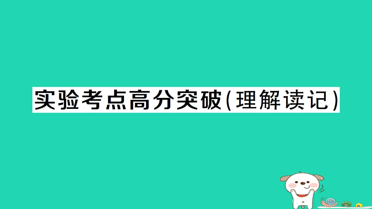 17312649第1页