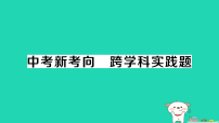 初中物理人教版（2024）九年级全册电压作业课件ppt