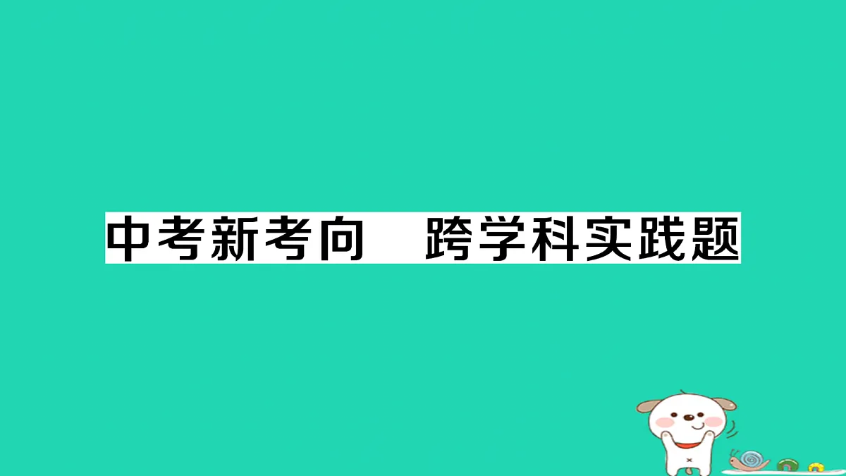 17312650第1页