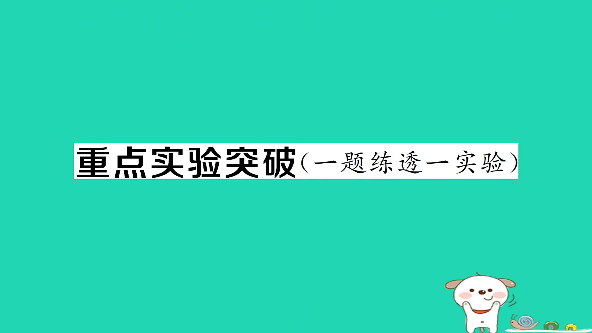 17312656第1页