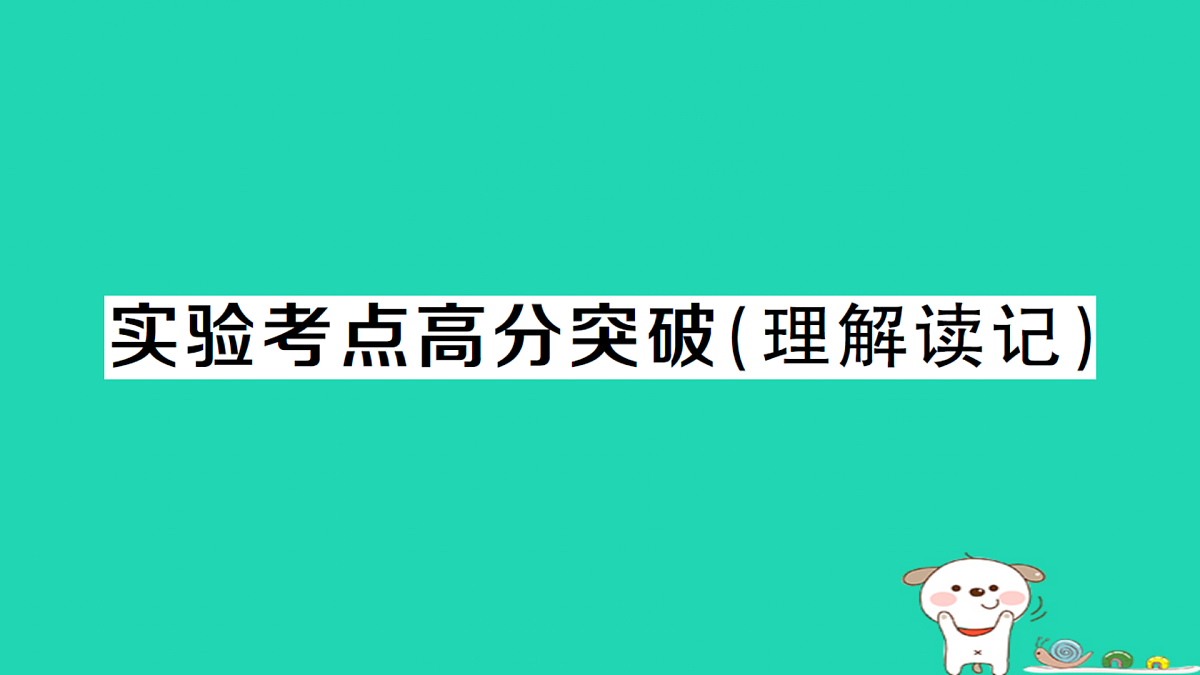 17312673第1页