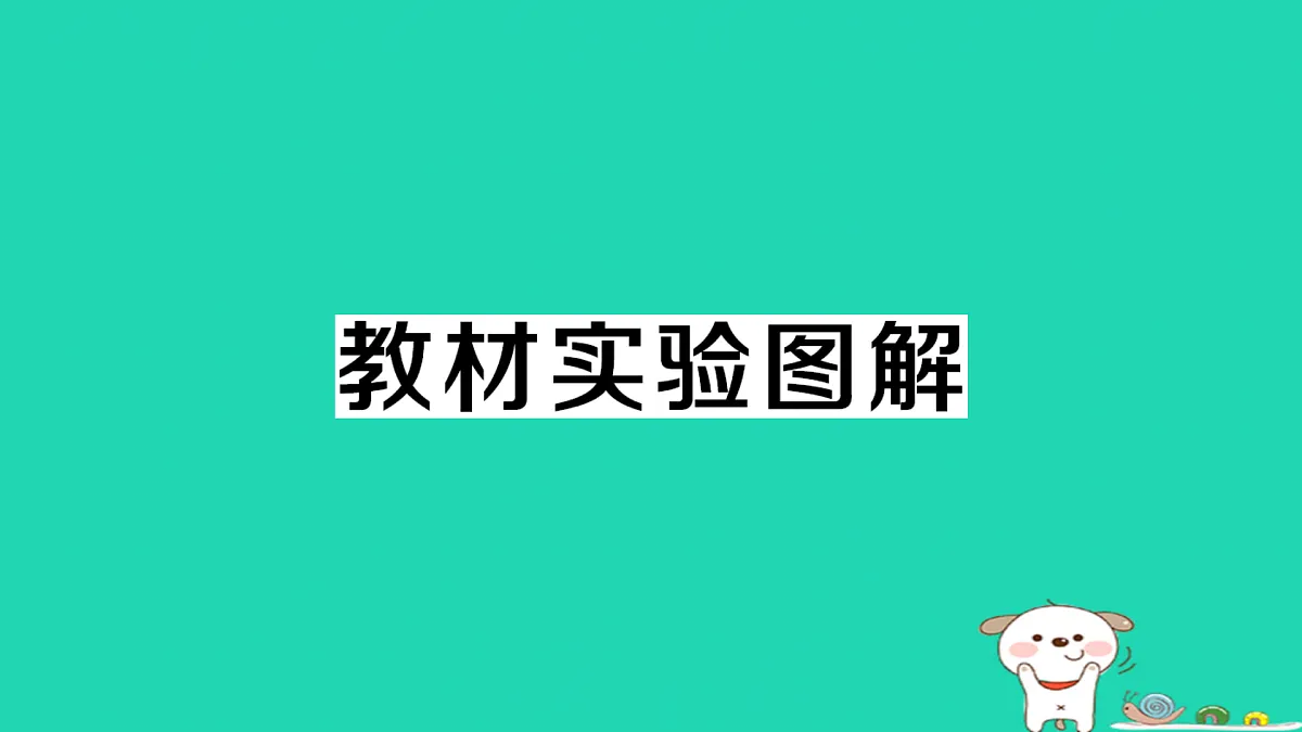 17312674第1页