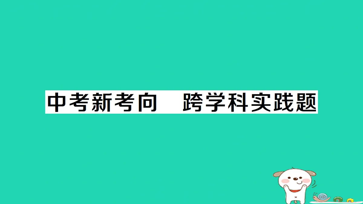 17312675第1页