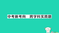 初中物理人教版(2024)九年级全册欧姆定律作业ppt课件