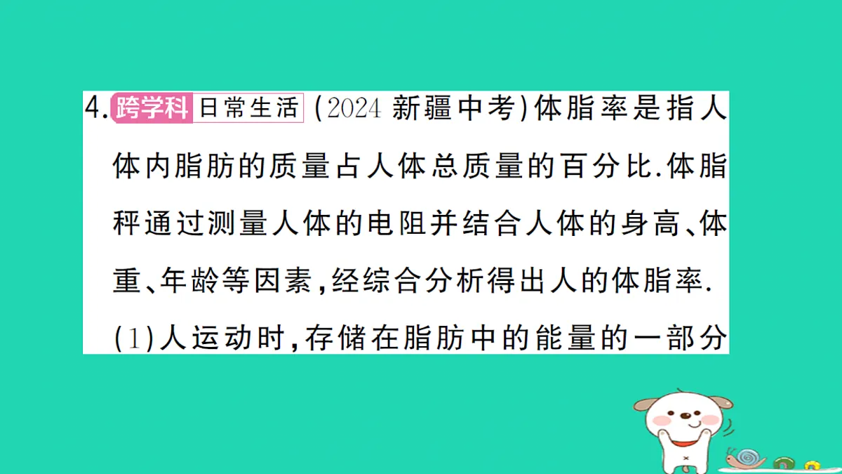 17312675第5页