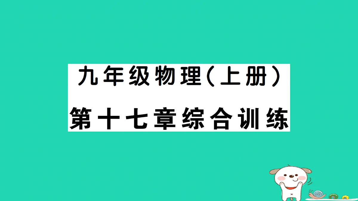 17312678第1页