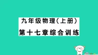 人教版(2024)九年级全册欧姆定律作业课件ppt