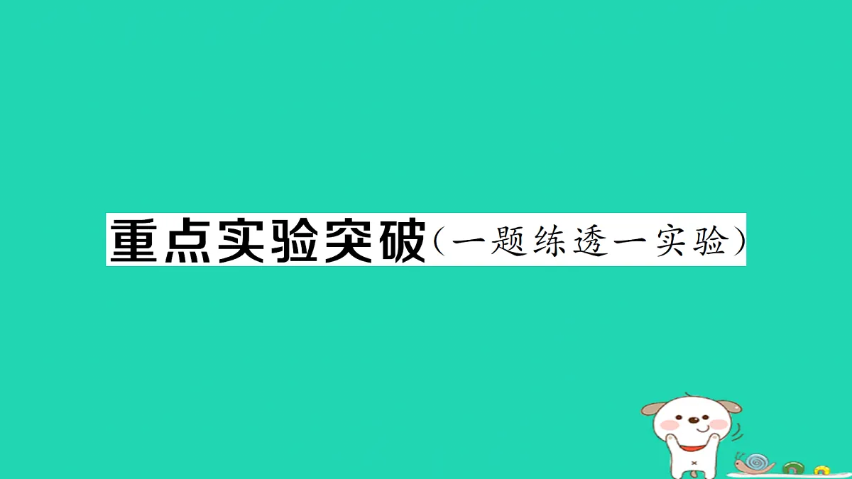 17312679第1页