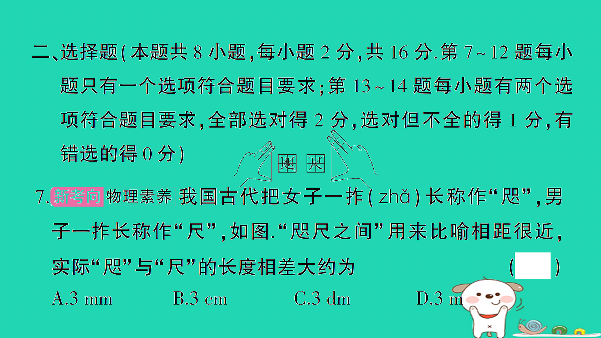 17313002第8页