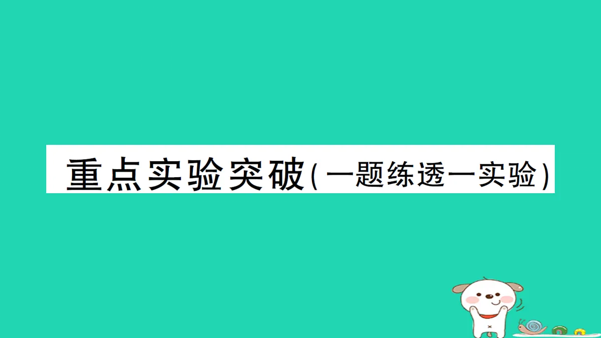 17313003第1页