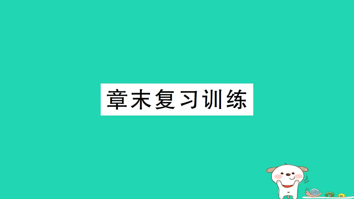 17313012第1页
