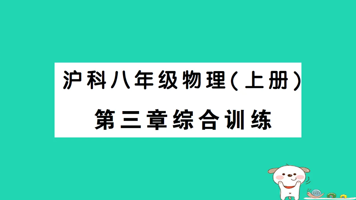 17313014第1页