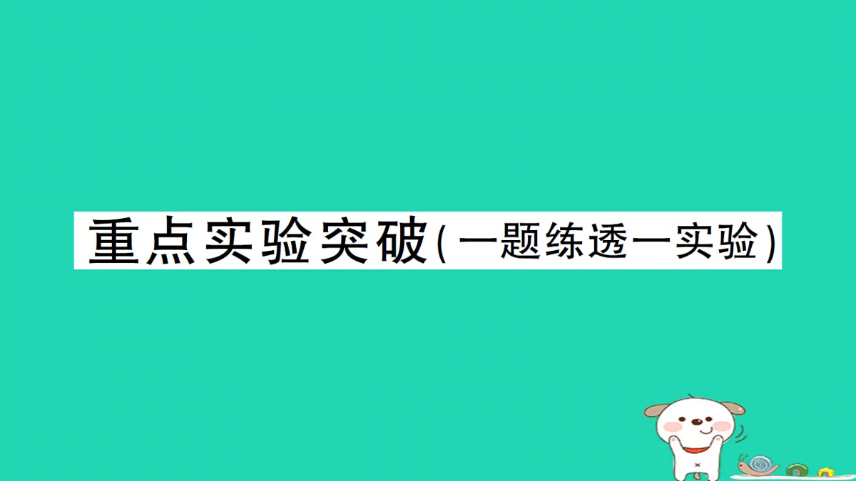 17313015第1页