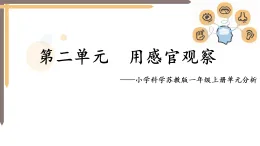 2025年秋蘇教版一年級(jí)科學(xué)上冊(cè)2《用感官觀察》單元分析（課件）