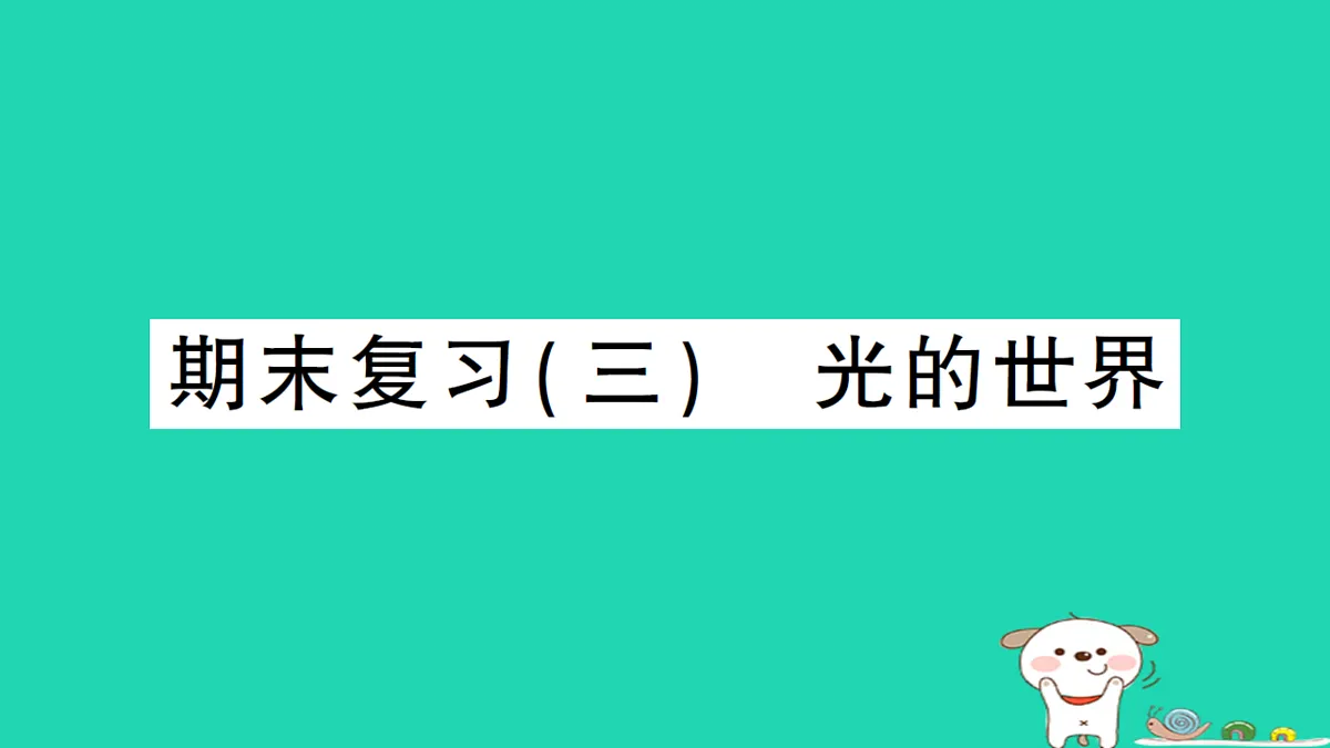 17313152第1页