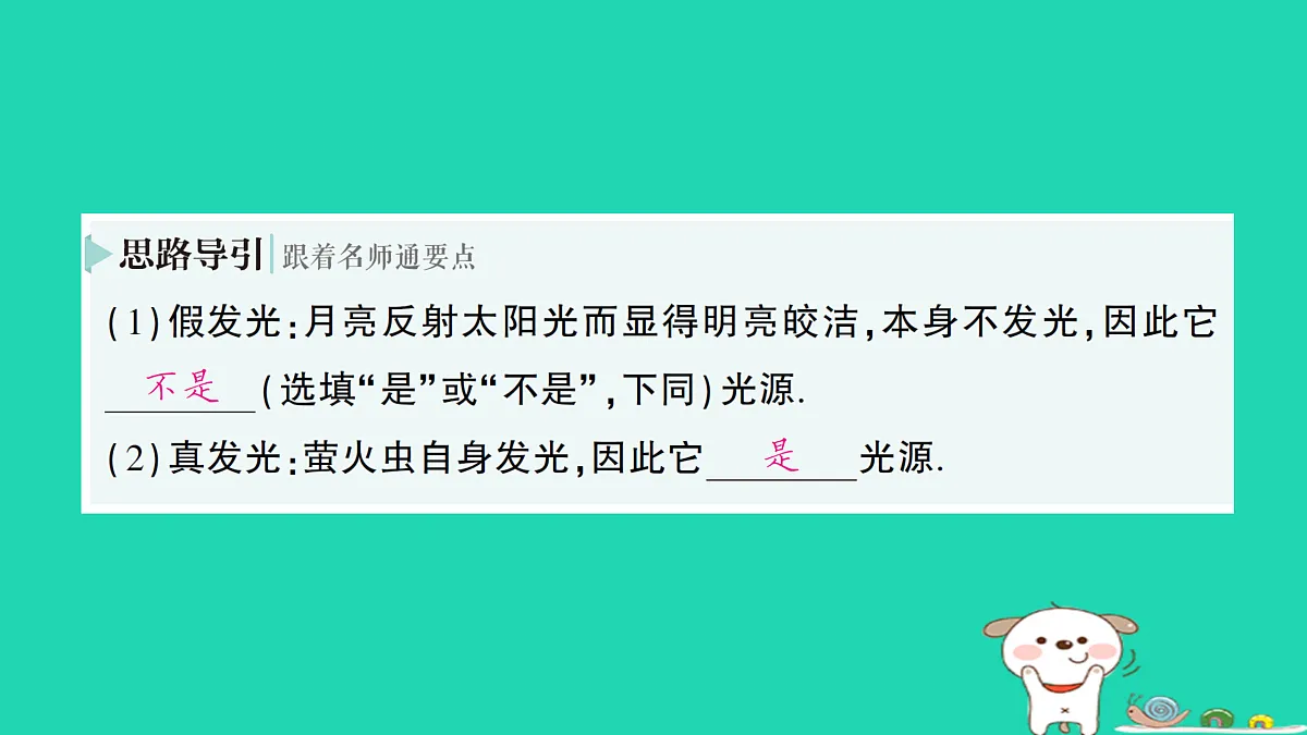 17313537第3页