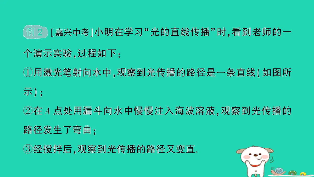 17313537第5页