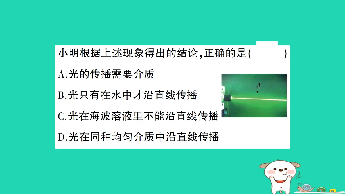 17313537第6页
