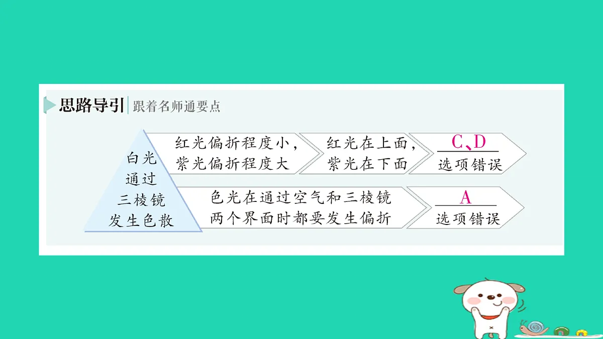 17313541第3页