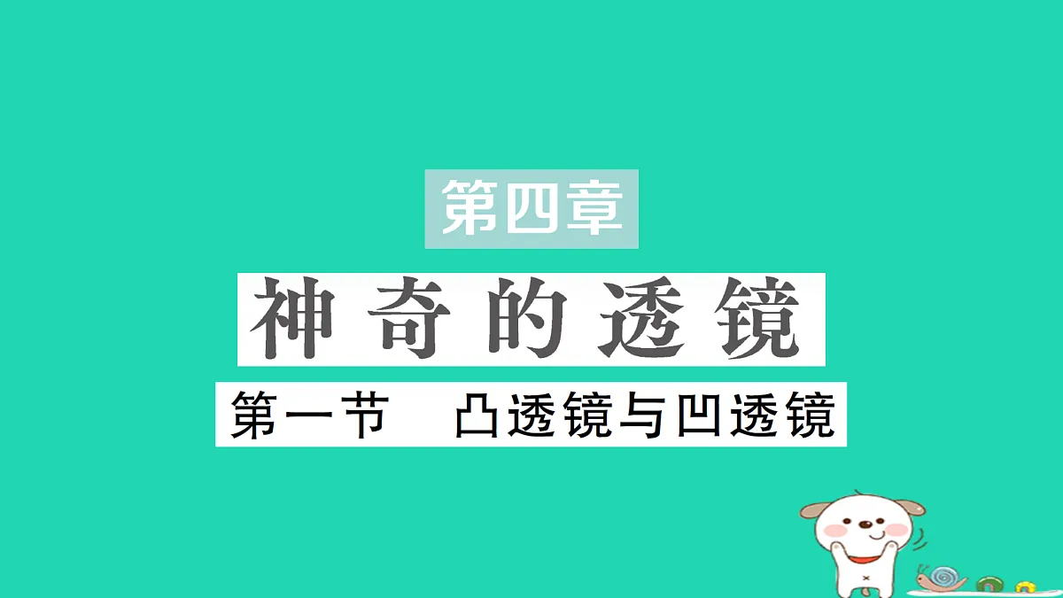 17313542第1页