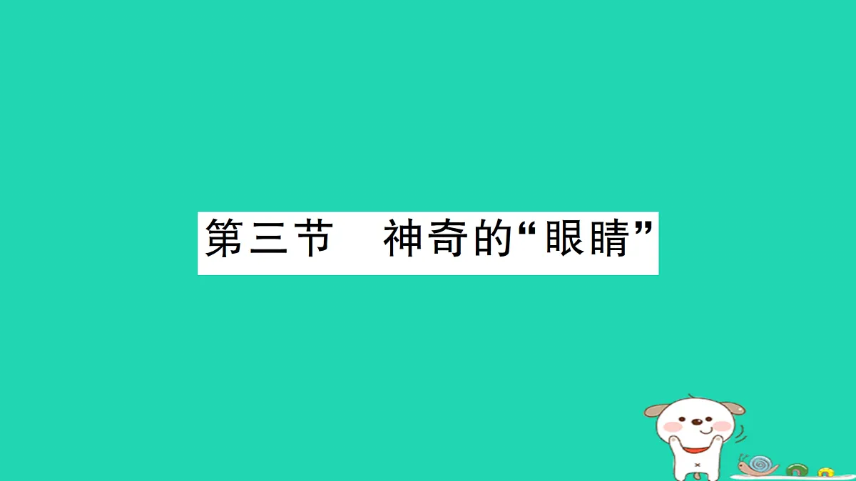17313544第1页