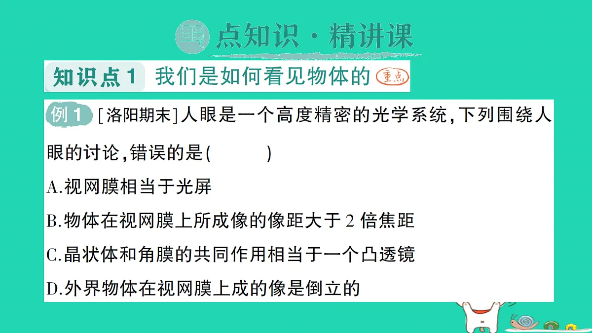 17313544第2页