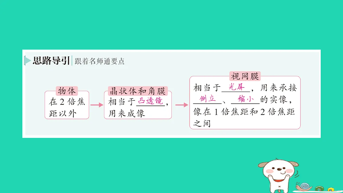 17313544第3页